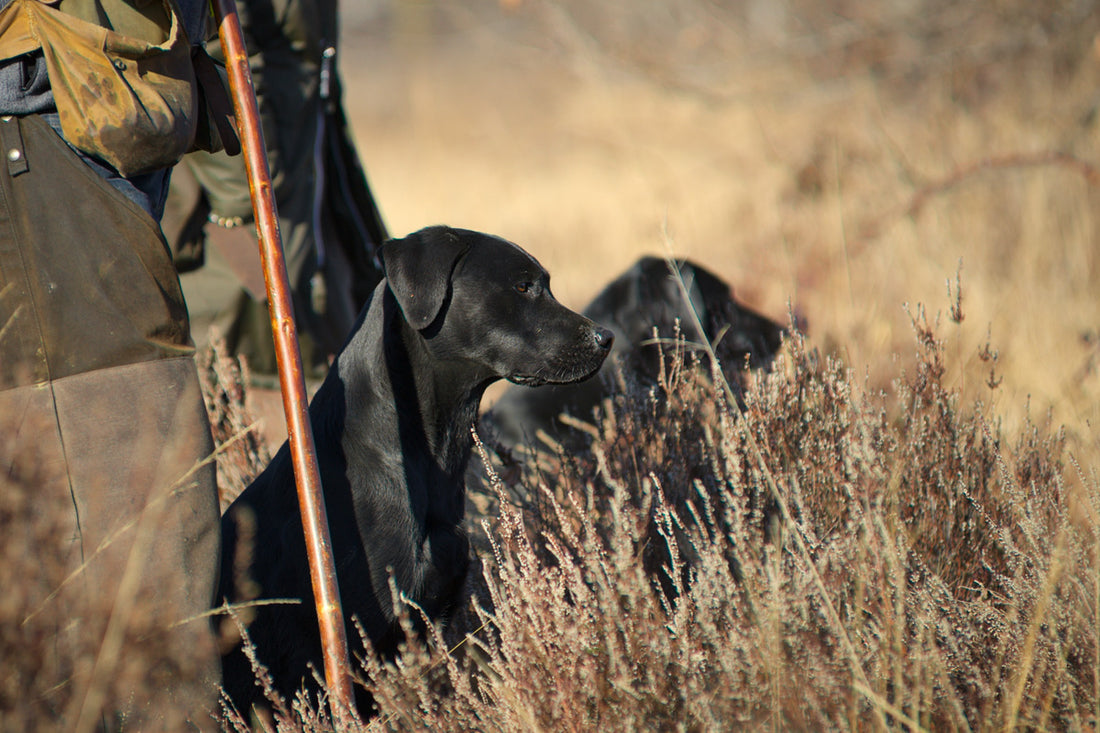 Our sustainability journey