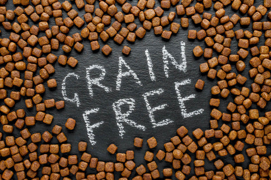 Why grain free?