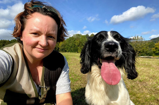 Does eating Hoddy's encourage dogs to chase game in the outdoors?