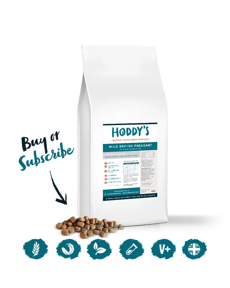 Hoddy's Wild British Pheasant - 6kg - Premium  from Hoddy's Premium Dog Food - Just £40! Shop now at Hoddy's Premium Dog Food