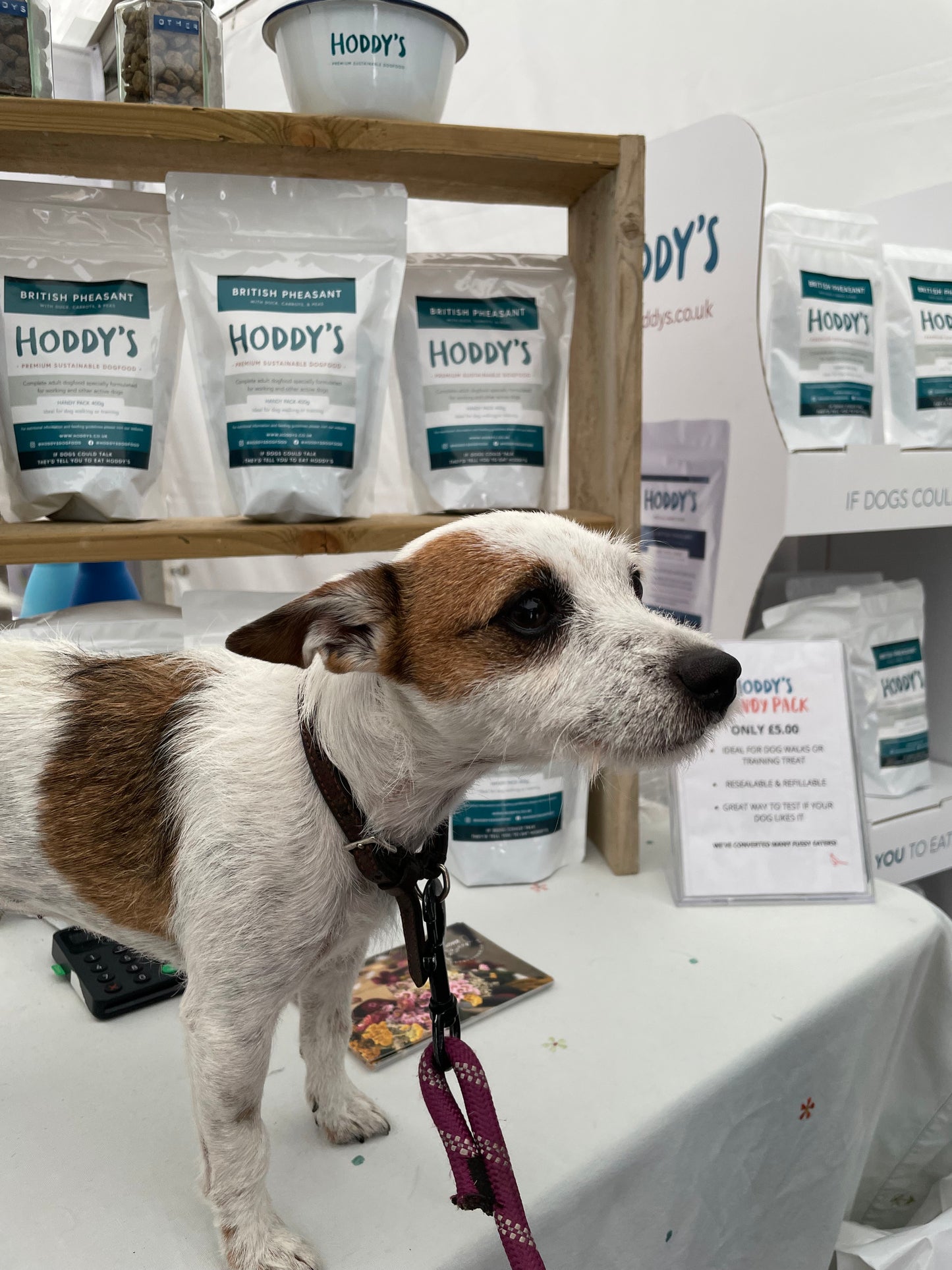 Hoddy's Wild British Venison - Handy Pack - Premium from Hoddy's Premium Dog Food - Just £7.50! Shop now at Hoddy's Premium Dog Food