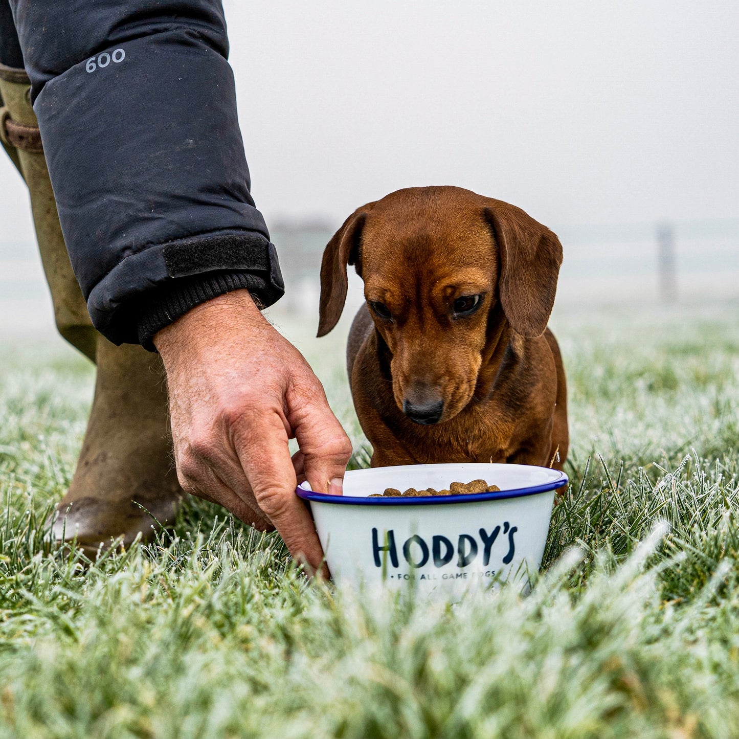 Hoddy's Wild British Pheasant - 12kg - Premium from Hoddy's Premium Dog Food - Just £64! Shop now at Hoddy's Premium Dog Food