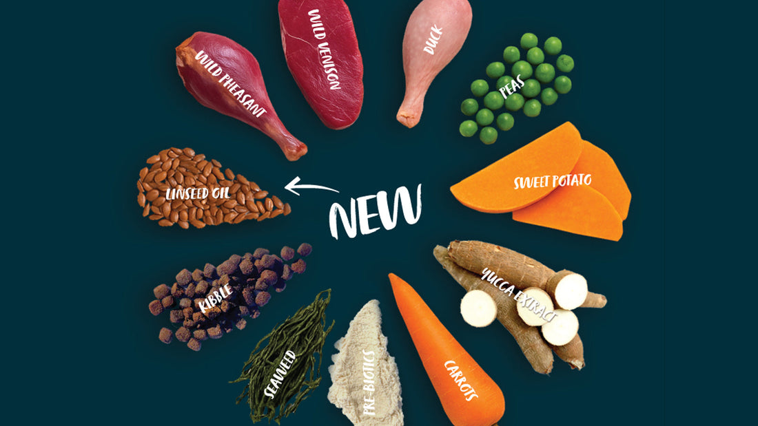 Our recipe has just got better. We’ve swapped out salmon oil and replaced it with linseed oil.