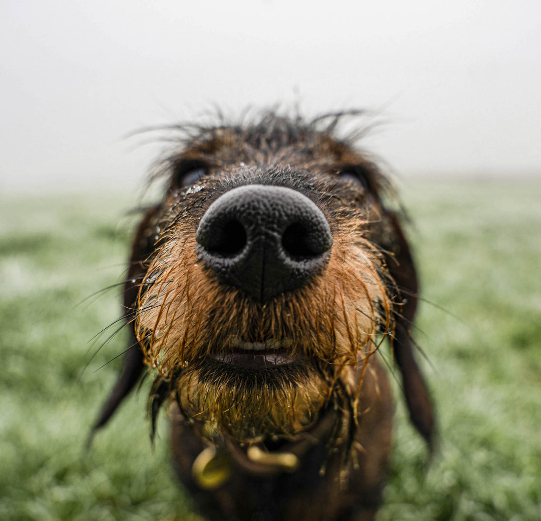 We're on the hunt for some new talent