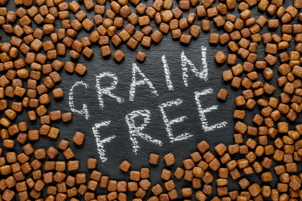 Why grain free?