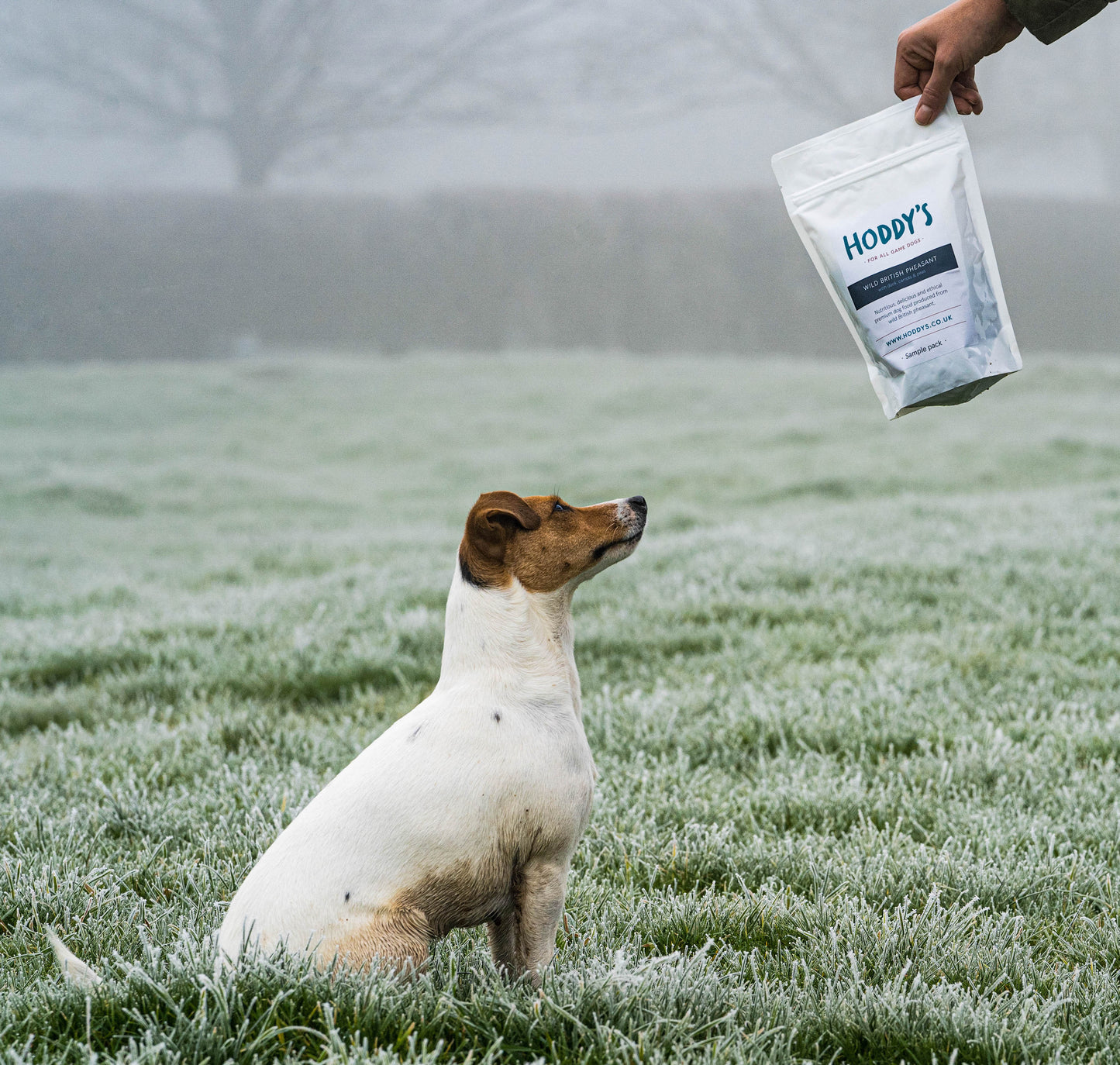 Hoddy's British Pheasant - Handy Pack - Premium  from Hoddy's Premium Dog Food - Just £7.50! Shop now at Hoddy's Premium Dog Food