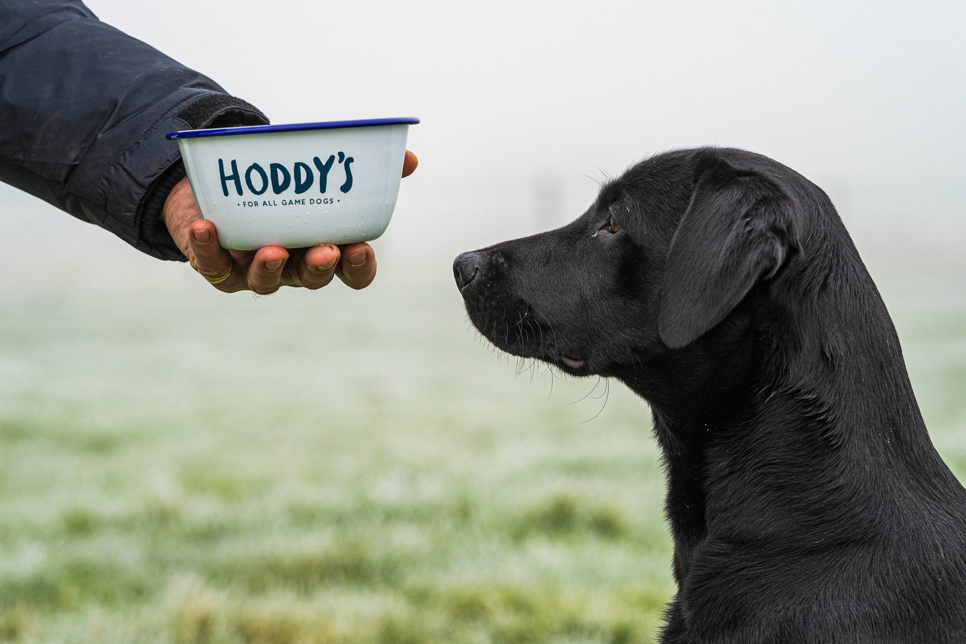 Hoddys Wild British Venison - 6kg - Premium  from Hoddy's Premium Dog Food - Just £40! Shop now at Hoddy's Premium Dog Food